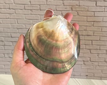 Large 10cm Mother of Pearl Natural Shell Medallion Pendant Silver Necklace