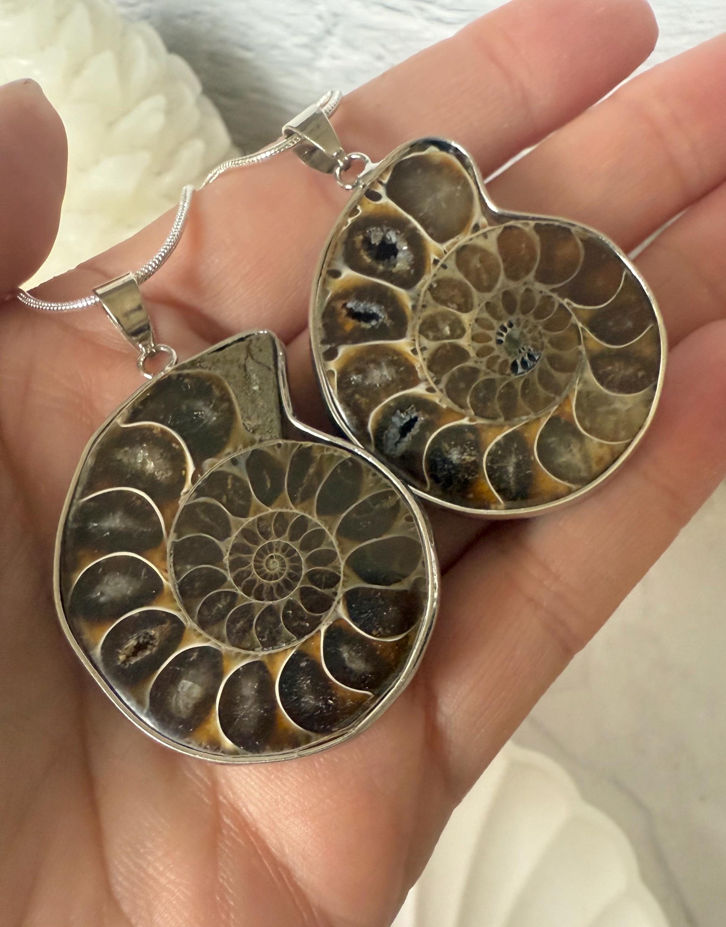 天然アンモナイト化石シェルシルバーペンダントネックレス - Etsy 日本