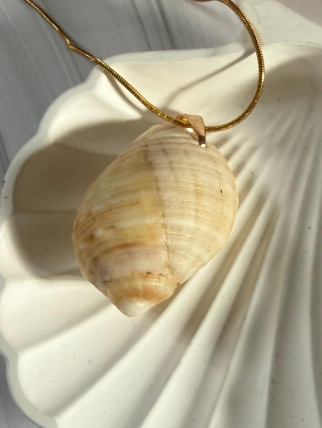 Handpicked Natural South Australian Small Conch Shell Pendant Gold ...