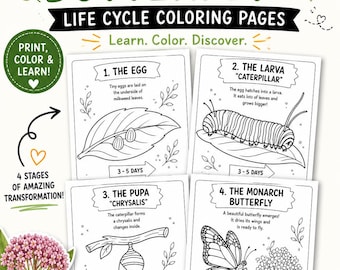 Monarch Butterly Life Cycle