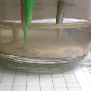 May include: A clear glass jar containing a cloudy liquid with sediment at the bottom. Green, blue, and gray objects are partially submerged in the liquid. The jar sits on a white grid surface.