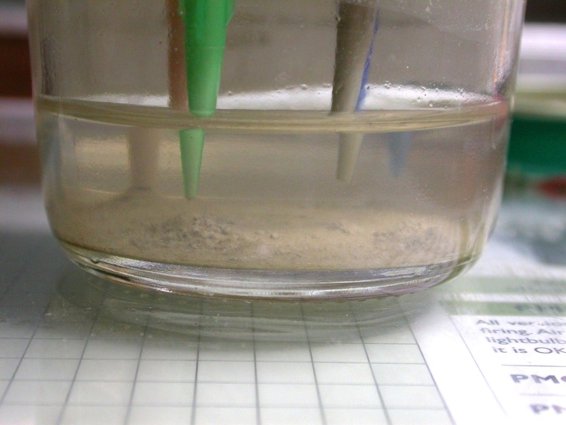 May include: A clear glass jar containing a cloudy liquid with sediment at the bottom. Green, blue, and gray objects are partially submerged in the liquid. The jar sits on a white grid surface.