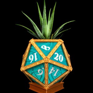 May include: A turquoise blue and gold-coloured planter shaped like a twenty-sided die with a green succulent plant growing inside.