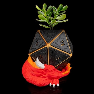 May include: A black and gold geometric planter with a red and orange dragon figurine base. A small green plant is growing inside the planter.