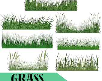 Könnte beinhalten: Eine Sammlung grüner Grasränder in verschiedenen Stilen. Das Bild zeigt mehrere Illustrationen verschiedener Grasarten mit unterschiedlichen Höhen und Texturen. Der Text "GRASS borders" wird auf einem türkisfarbenen Banner angezeigt.