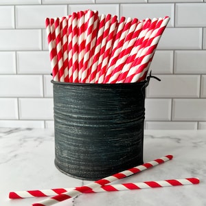1 Dz Red Striped Paper Straws