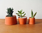 Terracotta planter - Set of 3