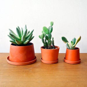 Terracotta mini planters - A set - Set of 3