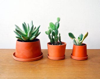 Terracotta mini planters - A set - Set of 3