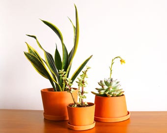 Terra-Cotta Mini Planters: B set