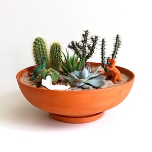 Terra-Cotta Planter: Wide image 1