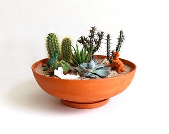 Terra-Cotta Planter: Wide