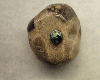 Imán para refrigerador de piedra del estado de Michigan, Petoskey, gema del estado de Michigan, clorastrolita en el medio
