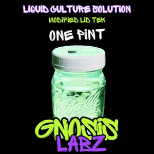 May include: A clear glass jar with a white lid, filled with a glowing green liquid. The jar is labeled "Ball" and the text "Liquid Culture Solution Modified Lid Tek One Pint" is above the jar. The text "GNOSIS LARZ" is below the jar in green and purple.