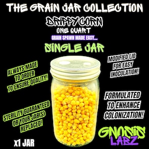 One Quart Drippy Corn-gesteriliseerde graanpot - gemodificeerd deksel met injectiepoort en filterpatch! (Enkele pot)