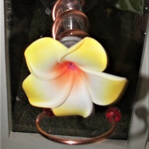 HAND CRAFTED. Copper Window Mount Hummingbird Feeder. Realistic 2 1/2" FOAM Plumeria Flower
