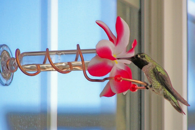 HANDCRAFTED Copper Window Mount Hummingbird Feeder Realistic Etsy