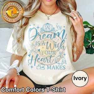 A Dream Is A Wish Your Heart Makes Shirt, Retro Disney Cinderella Tshirt, Cinderella Princess Shirt, Magical Kingdom Shirt, Princess Gift