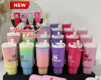 Mini Stanley Cup Schlüsselbund / Chapstick Inhaber / 3D gedruckter Becher Charme / Geschenk für Mädchen und Freunde / Valentinstag