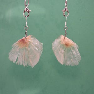 Boucles d'oreilles en cartilage de poisson stabilisé