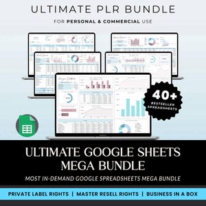 Pacchetto di prodotti digitali PLR, foglio di calcolo PLR, diritti di rivendita master, foglio di calcolo del budget per etichette private, modelli PLR, planner, Fogli Google