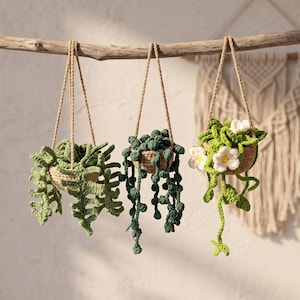 Crochet Plant Hanging Pattern Bundle, Succulent, Flower, Fern (PDF Download)