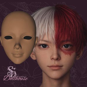 May include: A realistic doll face next to a digitally rendered face with white and red hair. The doll face is a light brown color with black eye sockets. The rendered face has a burn mark on the left side and the text "Seiyma's Dollhouse".