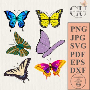 Colorful Butterflies Bundle SVG PNG Cut File Sublimation Cricut Silhouette jpg pdf dxf eps Clipart Vector T-shirt Mug Bag Card Scrapbooking