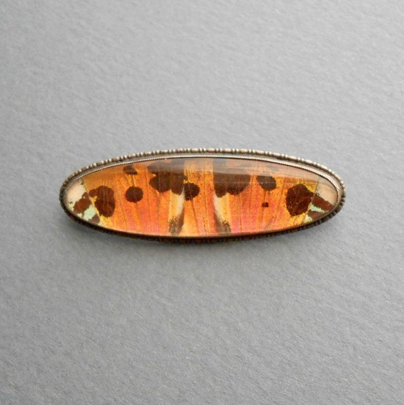 Butterfly Wing Thomas 1920s Art