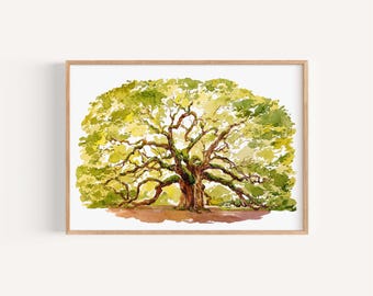 Angel Oak Tree, Charleston, South Carolina Watercolor Artwork