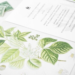 Botanical Wedding Invitations Floral Wedding Invitation Garden Wedding Invitations Vintage Botanical Invitations Floral Invitations image 5