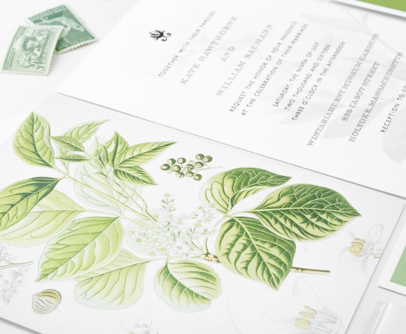 Botanical Wedding Invitations Floral Wedding Invitation Garden Wedding Invitations Vintage Botanical Invitations Floral Invitations image 5