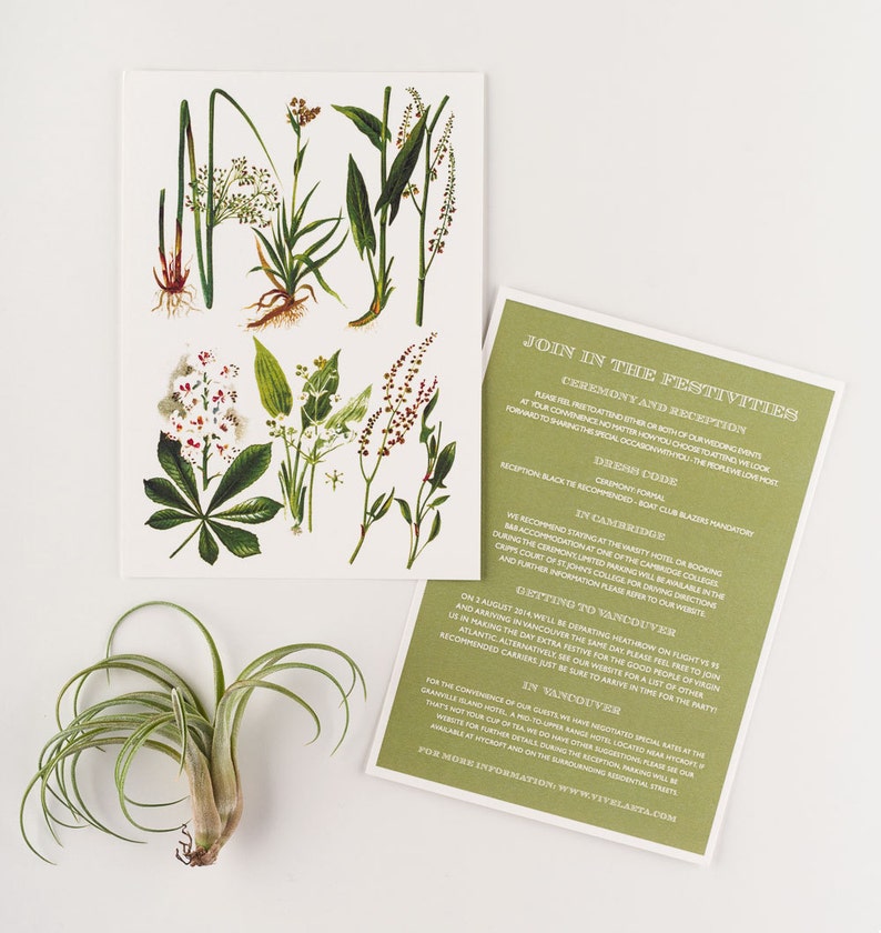 Wedding Invitation, Vintage Botanical Garden Wedding Collection, Rustic Garden Wedding Themed Invitations image 4