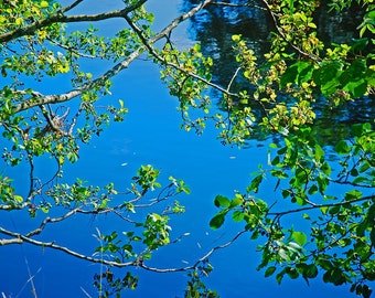 Blue River Landscape Nature Photo 10x8 - River Tay, Scotland, Scottish, Highlands, green, trees, water