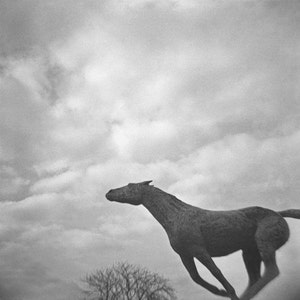 Running Horse Statue Genuine Lomography Film Photo 8x8 stormy, weather, black and white image 1