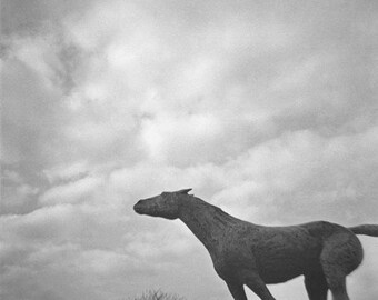 Running Horse Statue Genuine Lomography Film Photo - 8x8 - stormy, weather, black and white