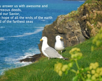 Psalm 65:5 - Christian Inspirational Photo with Bible Text - 10x8 - seascape, landscape, seagull, bird, verse, religion