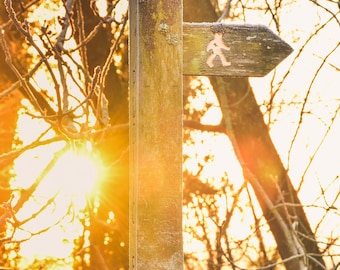 Sunset Footpath Photo - 10x8" - signpost, evening, sun, landscape, public footpath, woods, country, walk, walking, nature