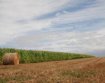 Fall Autumn Farm Landscape, France - 10x8 - hay rolls, field, straw, wheat, rustic, rural, country