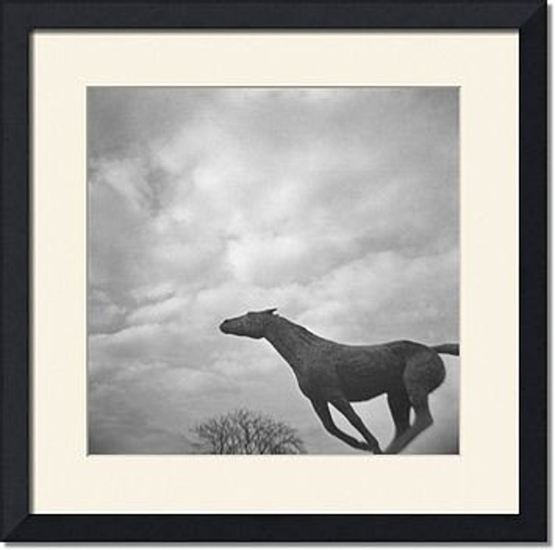 Running Horse Statue Genuine Lomography Film Photo 8x8 stormy, weather, black and white image 2