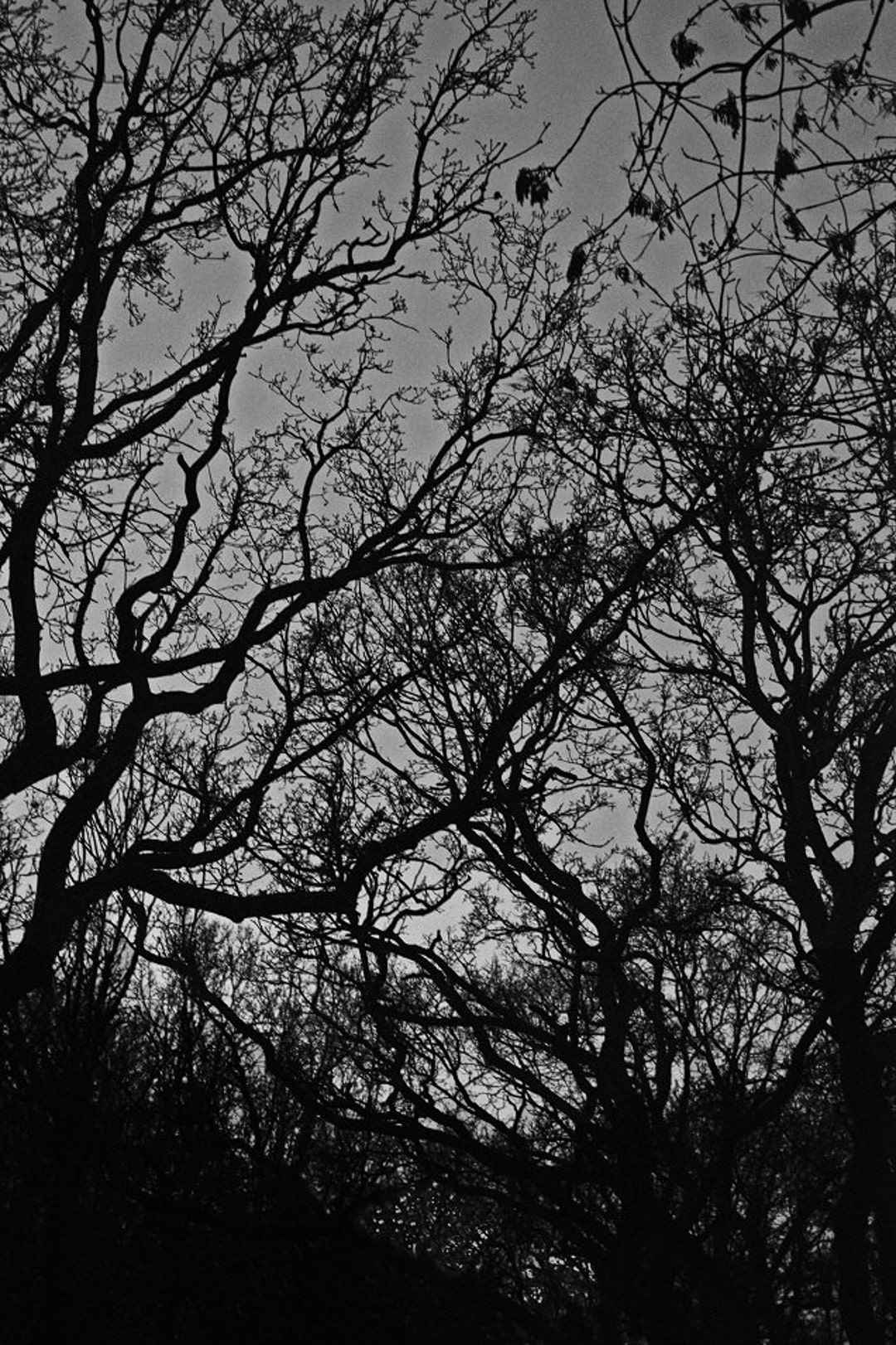 人気No.1 il_1080xN.404120026_p03b.jpg テント・タープ