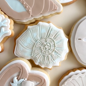 May include: Close-up of several decorated sugar biscuits with a beach theme. The biscuits feature seashell and coral designs in shades of white, light blue, and tan. The biscuits are arranged on a light-coloured surface.