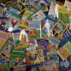 Level 1 Reading Kids Book Lot: Story Time RL Children Bundle - Etsy