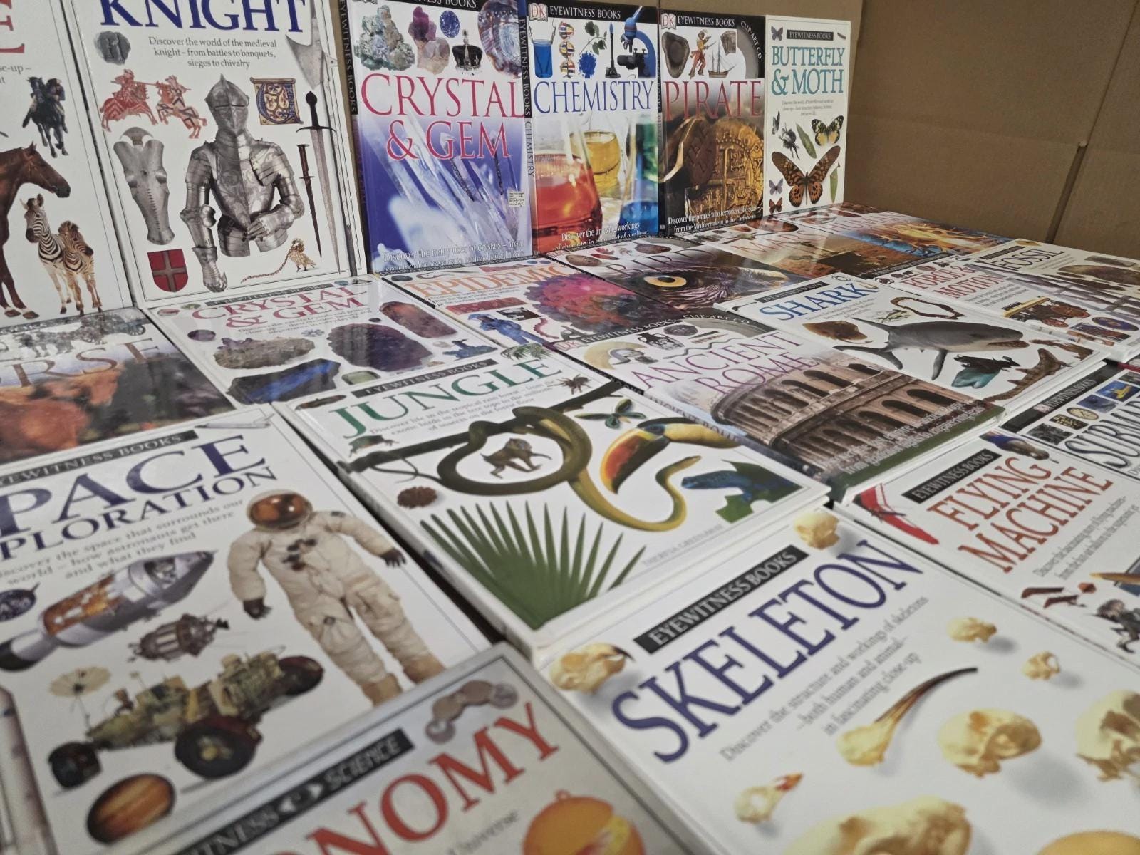 DK Eyewitness Books Lot of 10: Random Mixed Homeschool Reference