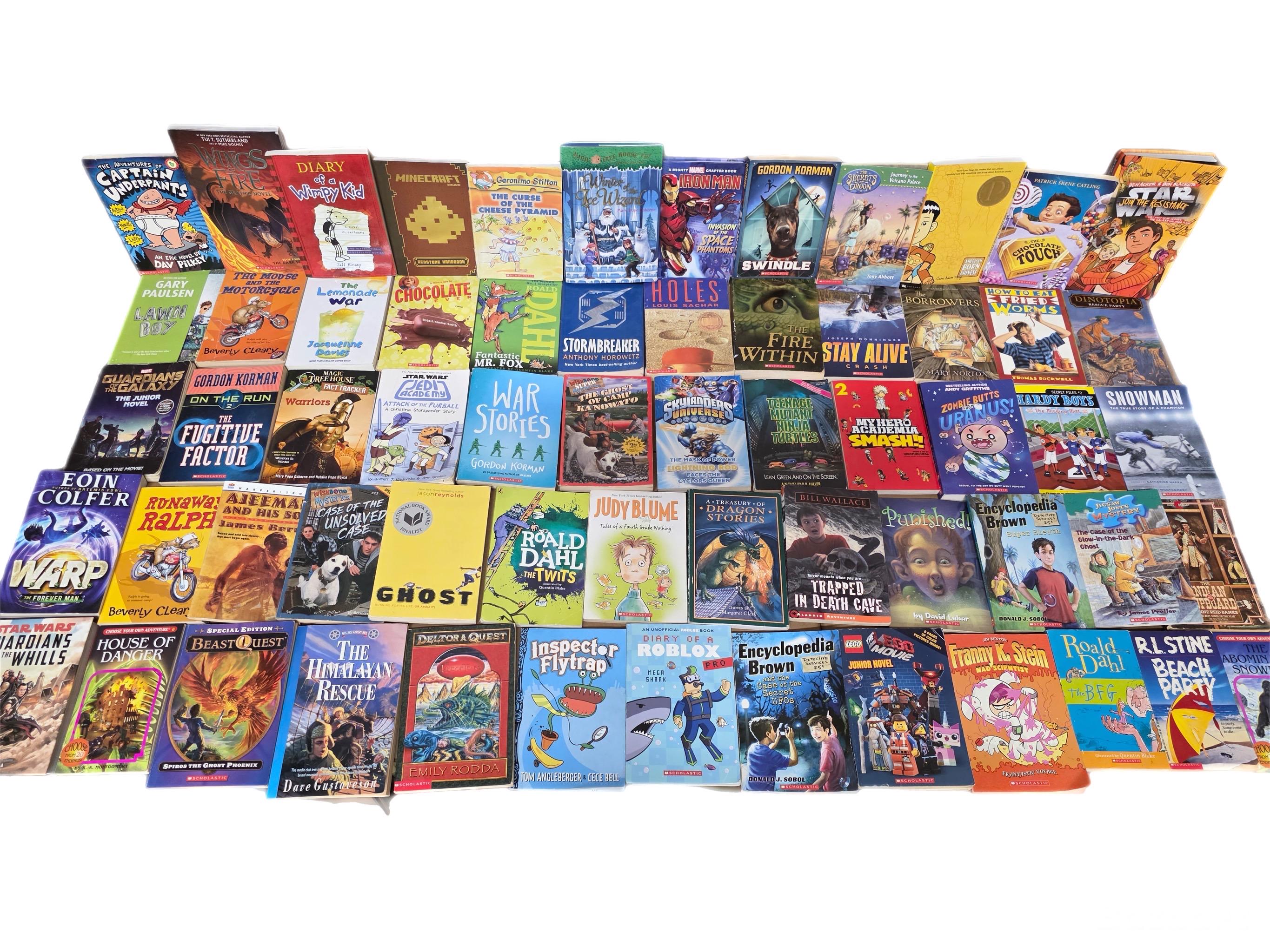 Chapter Books Lot of 30 for BOYS: Unsorted Kids' Reading, RL 2-6 ...