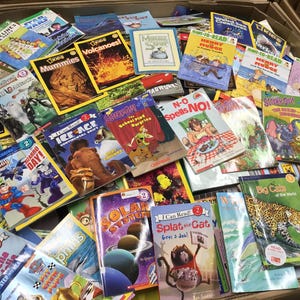 Level 2 Reading Books Lot: Early Reader Ready to-I Can Read-Step into-Learn Read Story Time Bundle