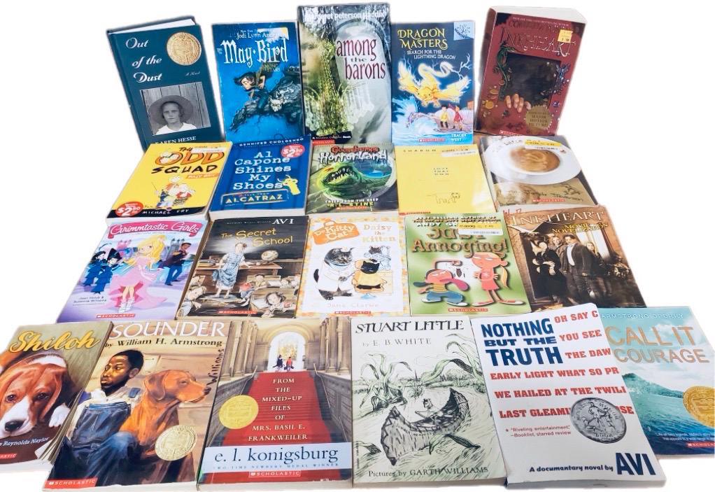 Children's Chapter Book Lot: 20 Random Books, Reading Level 2-6