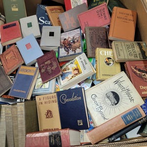 Antique Book Lot: Vintage Hardcover Collection, Decorative Staging Set
