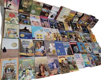 Lot of 7 Young Adults YA PRE-Teen Youth STORY CHAPTER BOOKS MIX