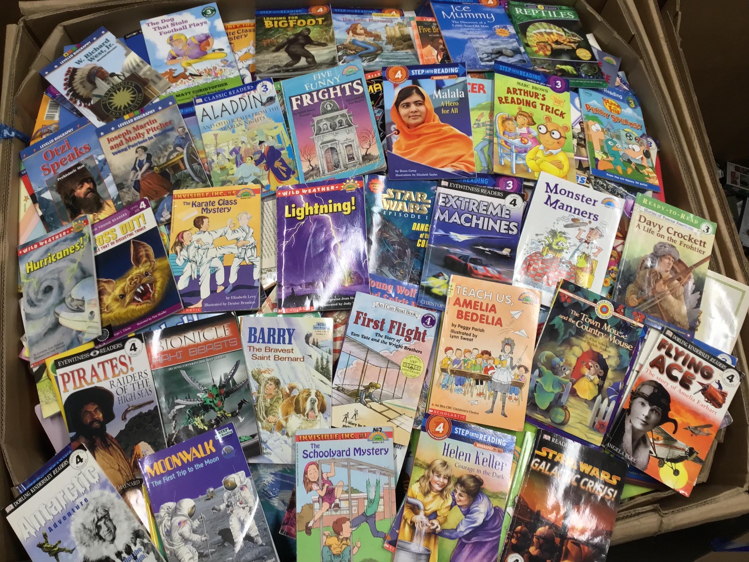 Level 3-4-5 Reading Books Lot: I Can Read, Step Into Reading